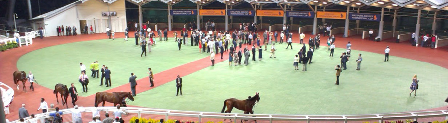 Singapore Turf Club, Singapore - Versatile™ Modular Equine Rubber Flooring